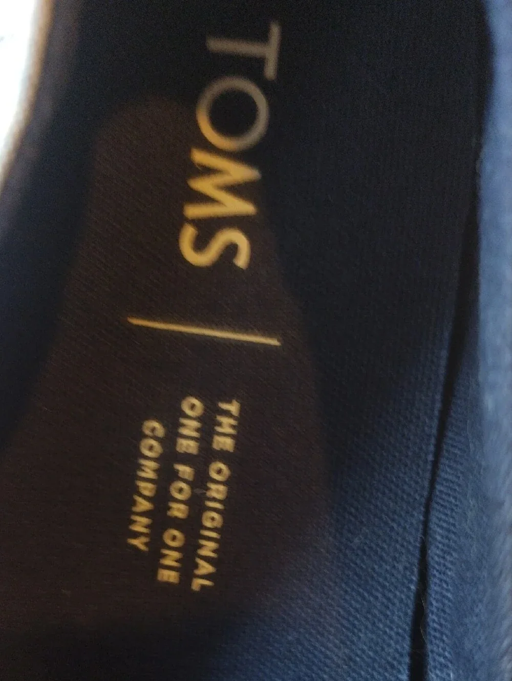 TOMS Light Blue Canvas Espadrilles with Tiny Red & Navy Detail